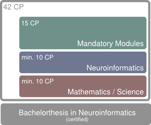 Structure of the bachelor program